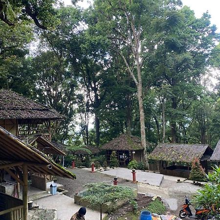 Laksana Rasa Resort 希维德 外观 照片