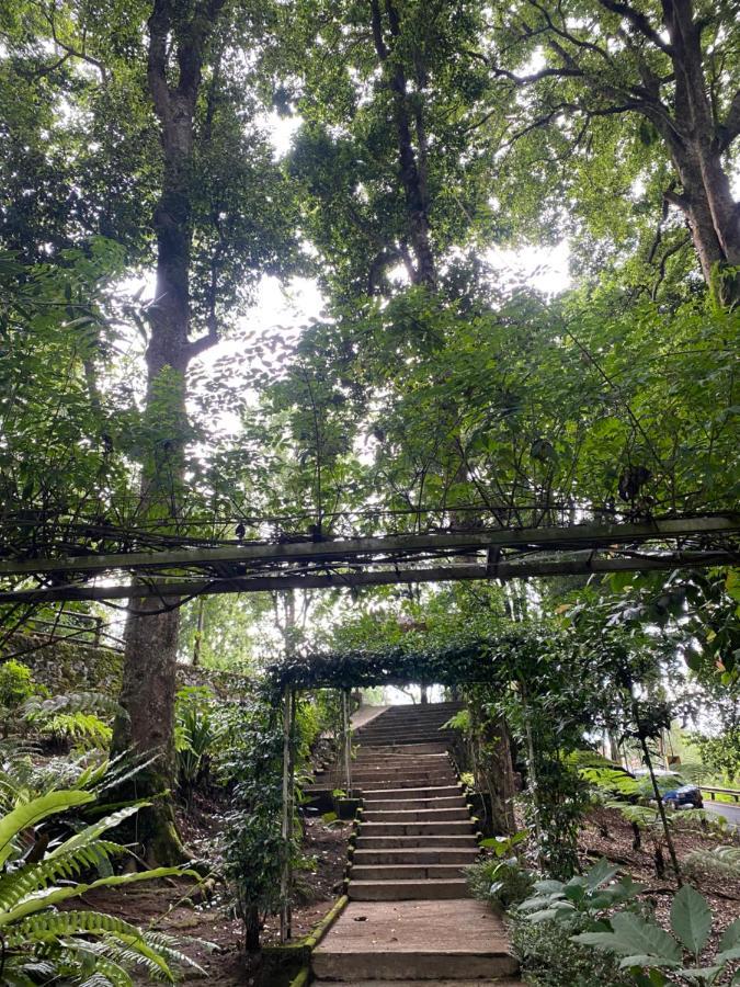 Laksana Rasa Resort 希维德 外观 照片