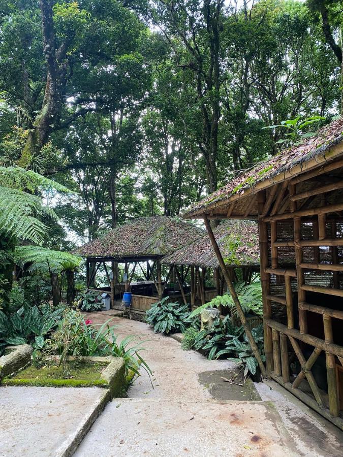 Laksana Rasa Resort 希维德 外观 照片